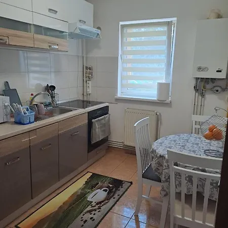 Garsoniera Bia Apartment Brasov Exterior photo
