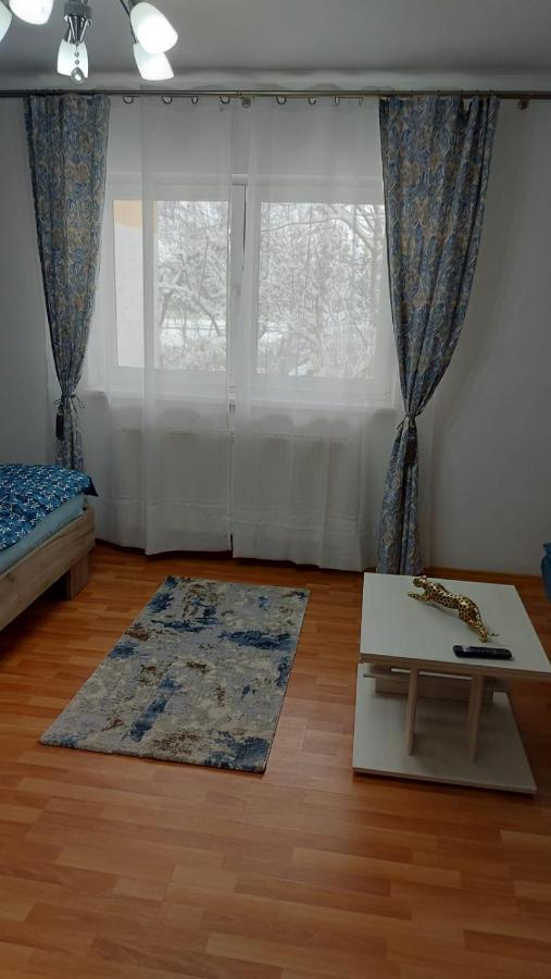 Apartment Garsoniera Bia *