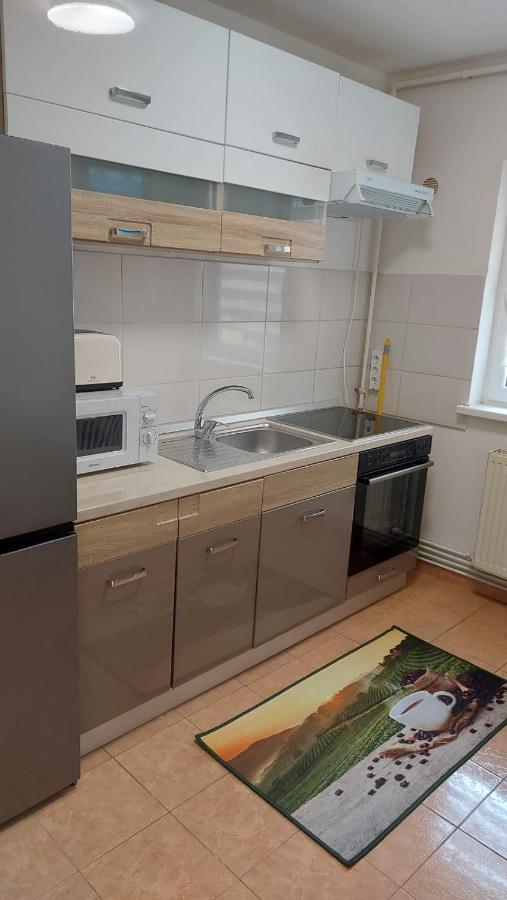 Garsoniera Bia Apartment *