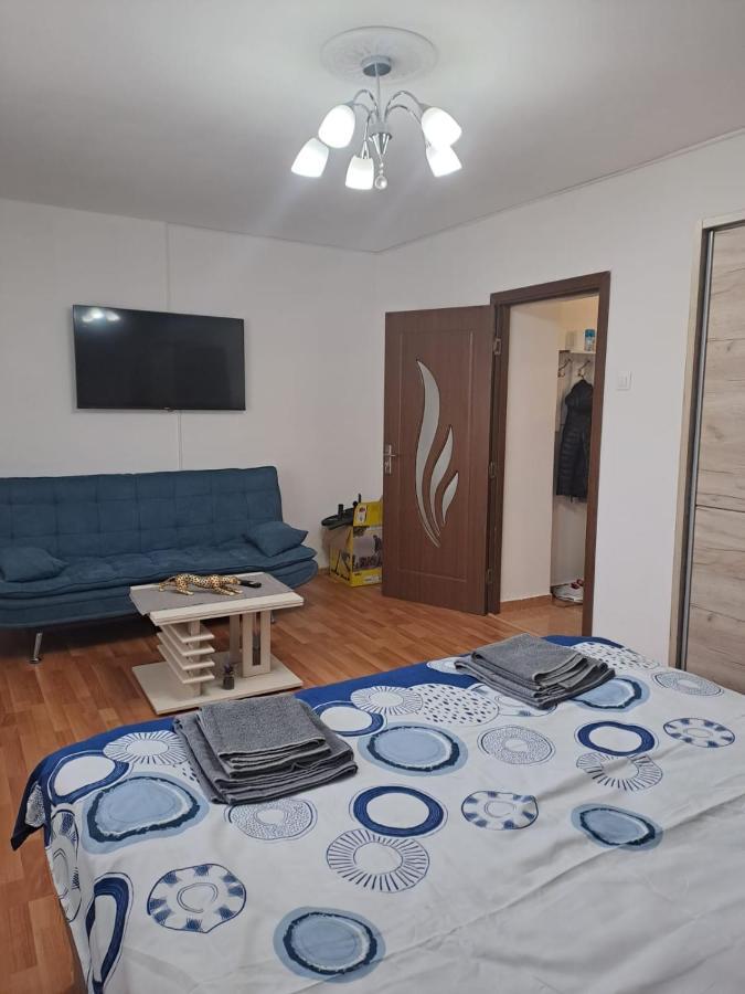 Garsoniera Bia Apartment *