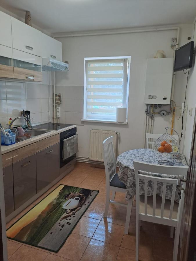 Garsoniera Bia Apartment Brasov
